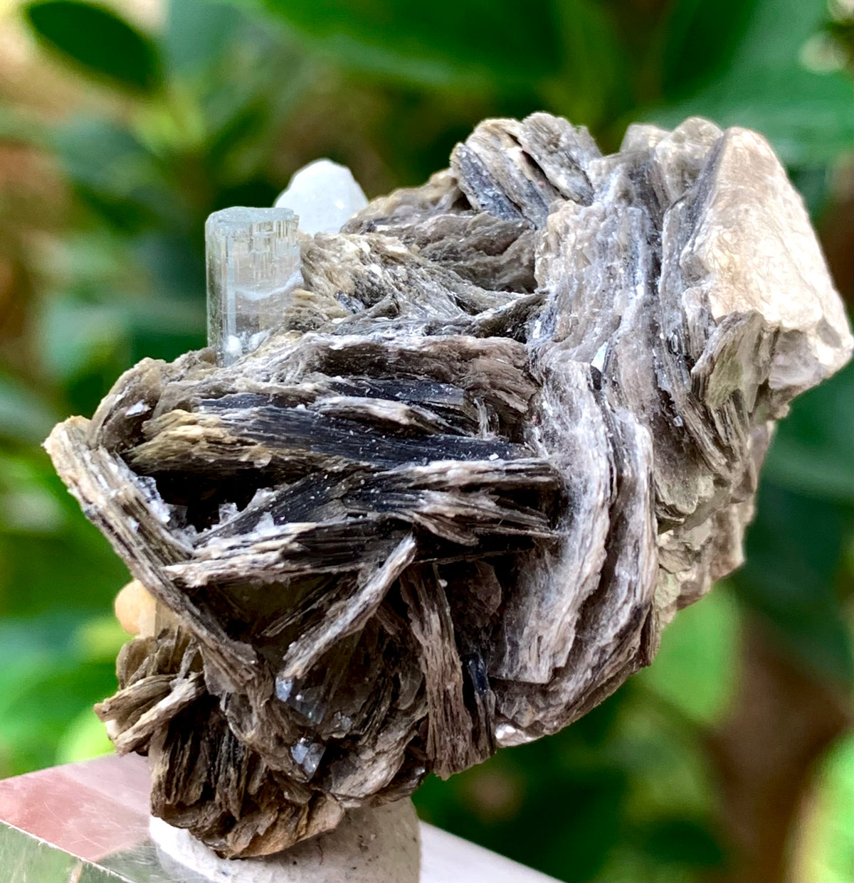 31 Grams Natural Blue Aquamarine Terminated Crystal on Muscovite Mica Matrix from Skardu Pakistan
