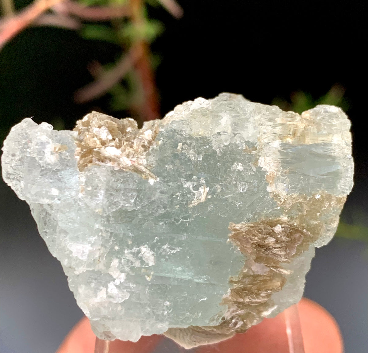 36g Natural Etched Aquamarine Crystal on Muscovite Mica Matrix from Pakistan