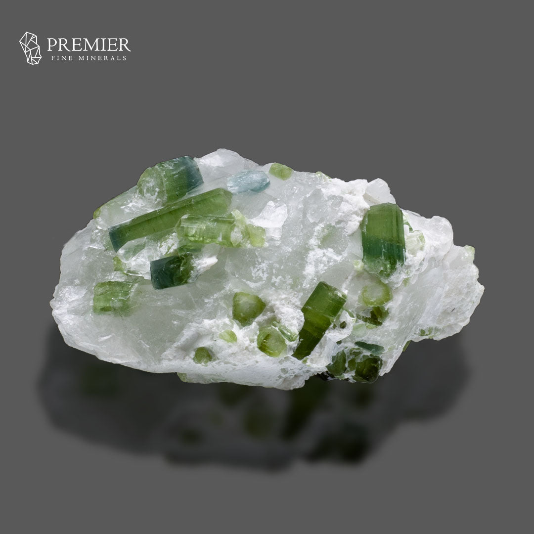 Blue-Green Tourmaline Crystal on Quartz Matrix – Afghanistan