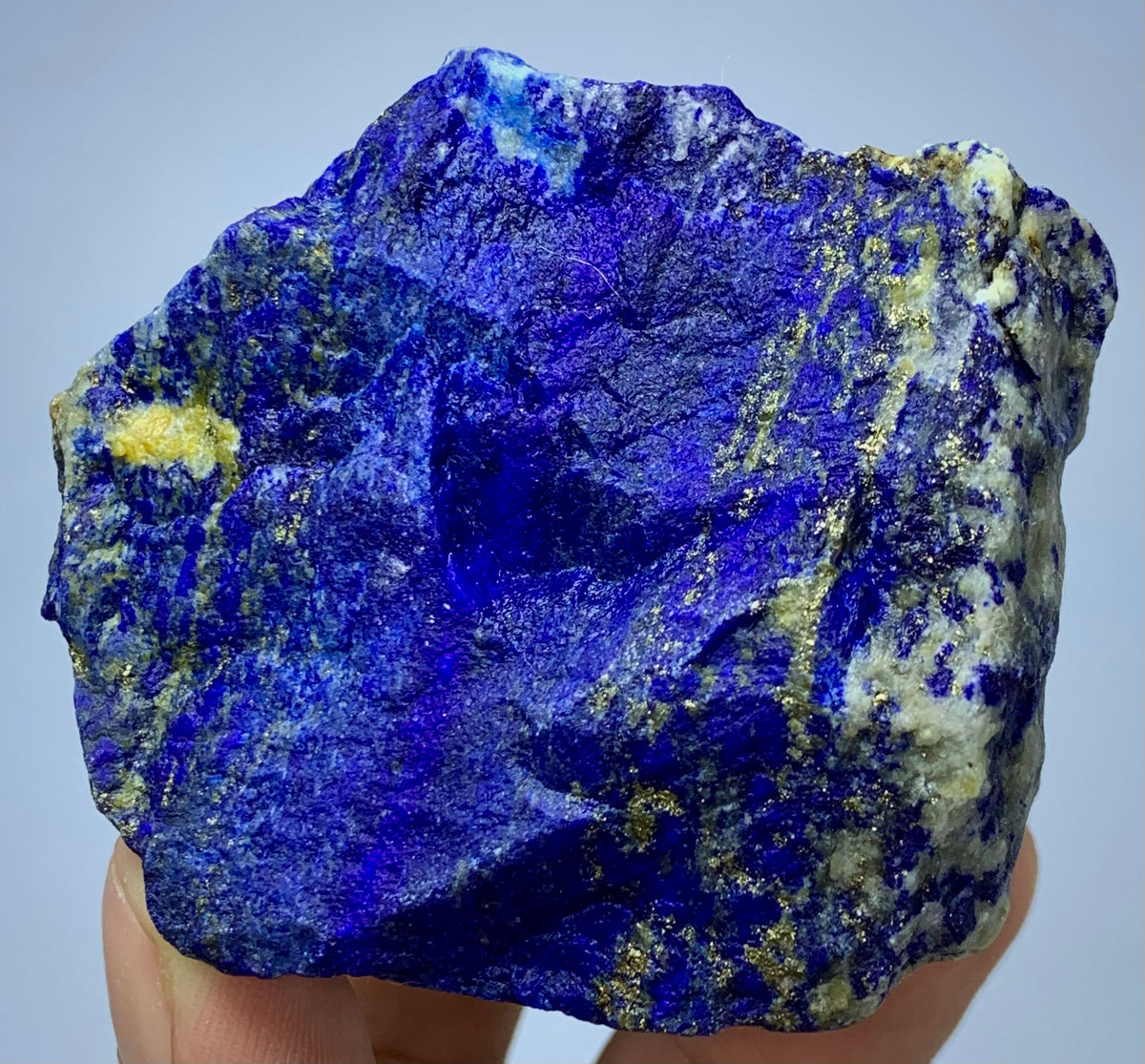 285g Lapis Lazuli specimen with scale reference
Badakhshan Lapis Lazuli, close-up on Pyrite cluster