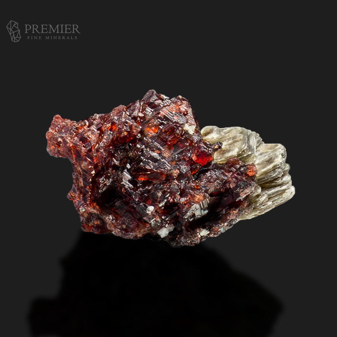 Etched Rhodolite Garnet Crystal on Muscovite Mica – Skardu Pakistan