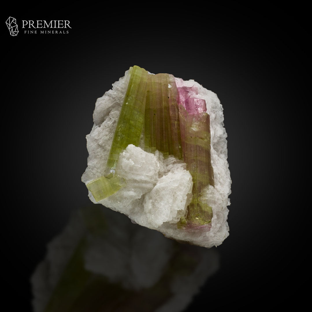 Watermelon Bicolour Tourmaline Crystal Bunch – Afghanistan