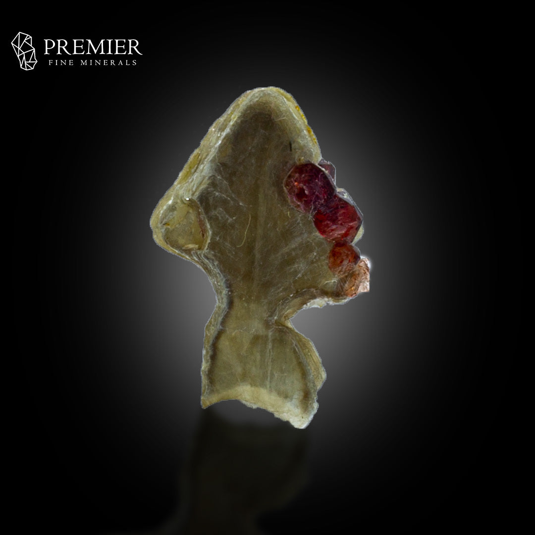 Rhodolite Garnet on Muscovite Mica – Pakistan Thumbnail
