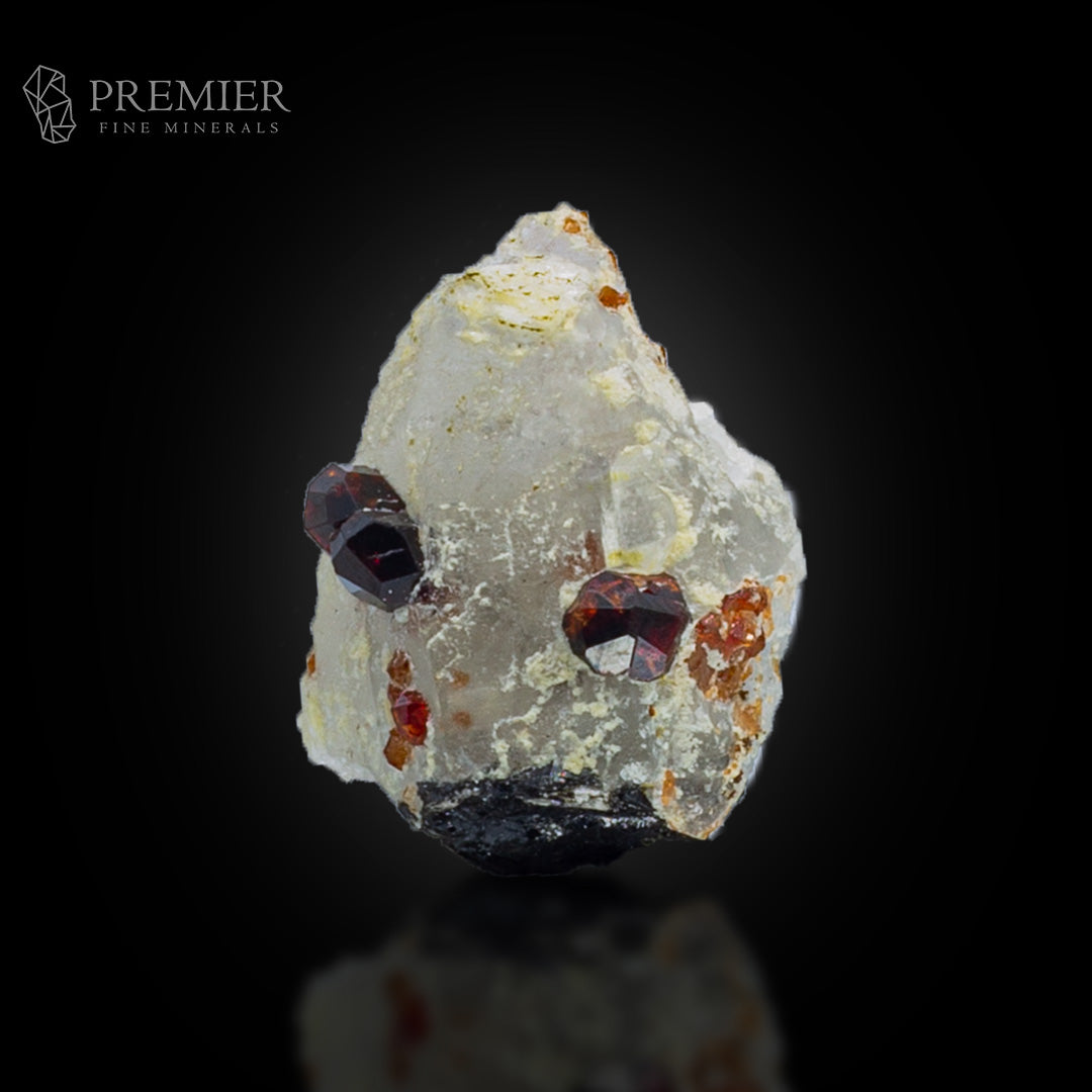 Almandine Garnet & Black Tourmaline on Quartz – Pakistan