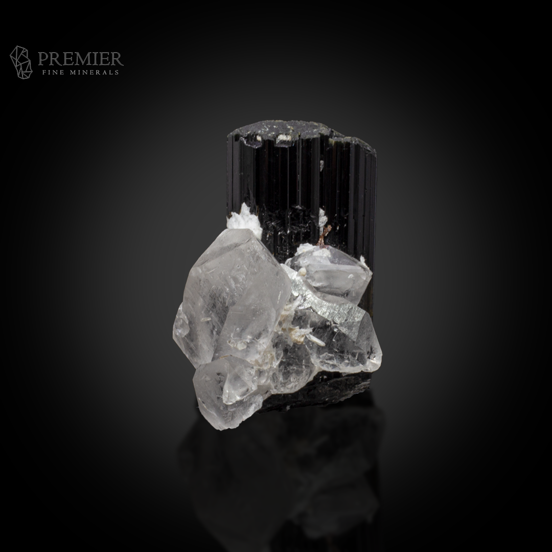 Schorl, Tourmaline, Black Tourmaline, Quartz, Crystal Cluster, Combination Specimen, 72.2 Grams, 361 Carats, Afghanistan Mineral, Raw Crystal, Collector Grade, Miniature Specimen, Contrast