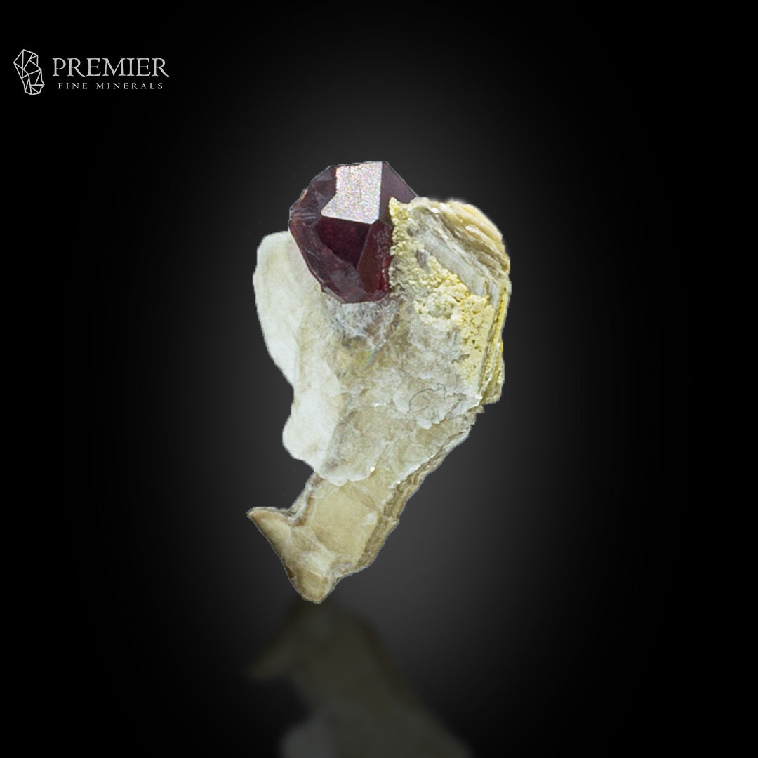 Rhodolite Garnet on Muscovite Mica – Pakistan Thumbnail