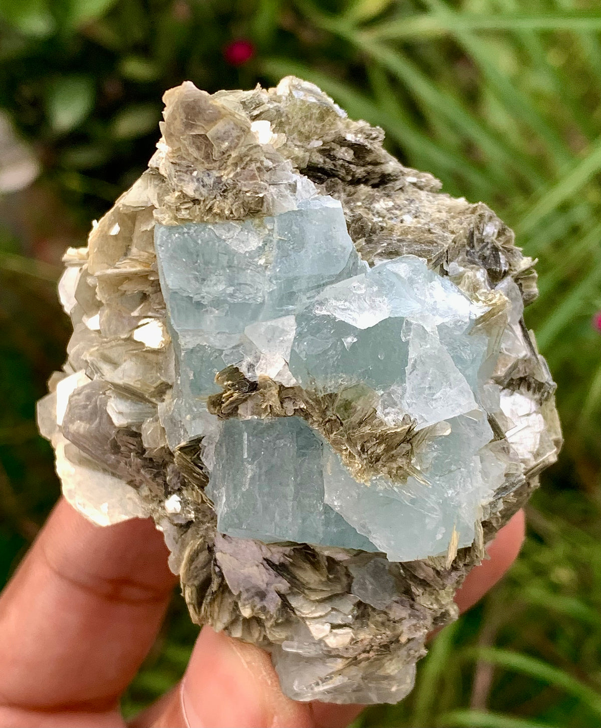 194 Grams Natural Aquamarine Etched Cluster of Crystals on Muscovite Mica Matrix from Shigar Pakistan
