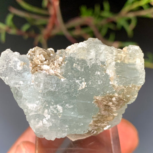 36g Natural Etched Aquamarine Crystal on Muscovite Mica Matrix from Pakistan