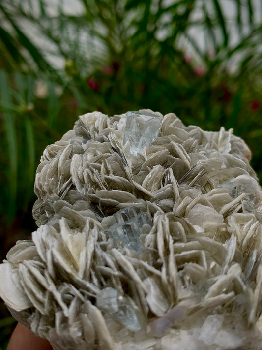 Natural Blue Aquamarine Terminated Crystals on Muscovite Mica Matrix – 184g Pakistan