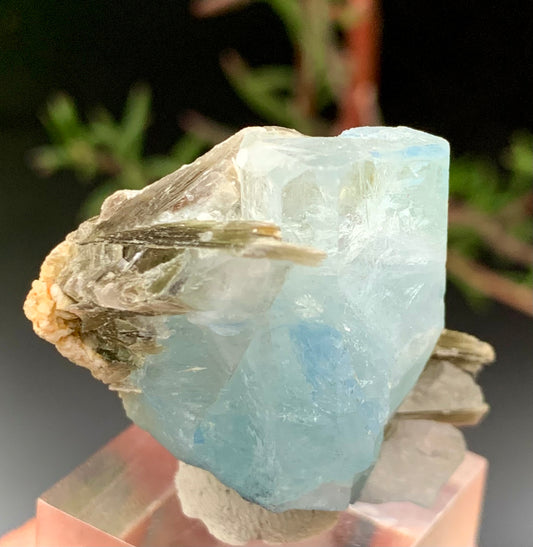 24 Grams Natural Blue Aquamarine Terminated Crystal with Muscovite Mica Matrix From Pakistan