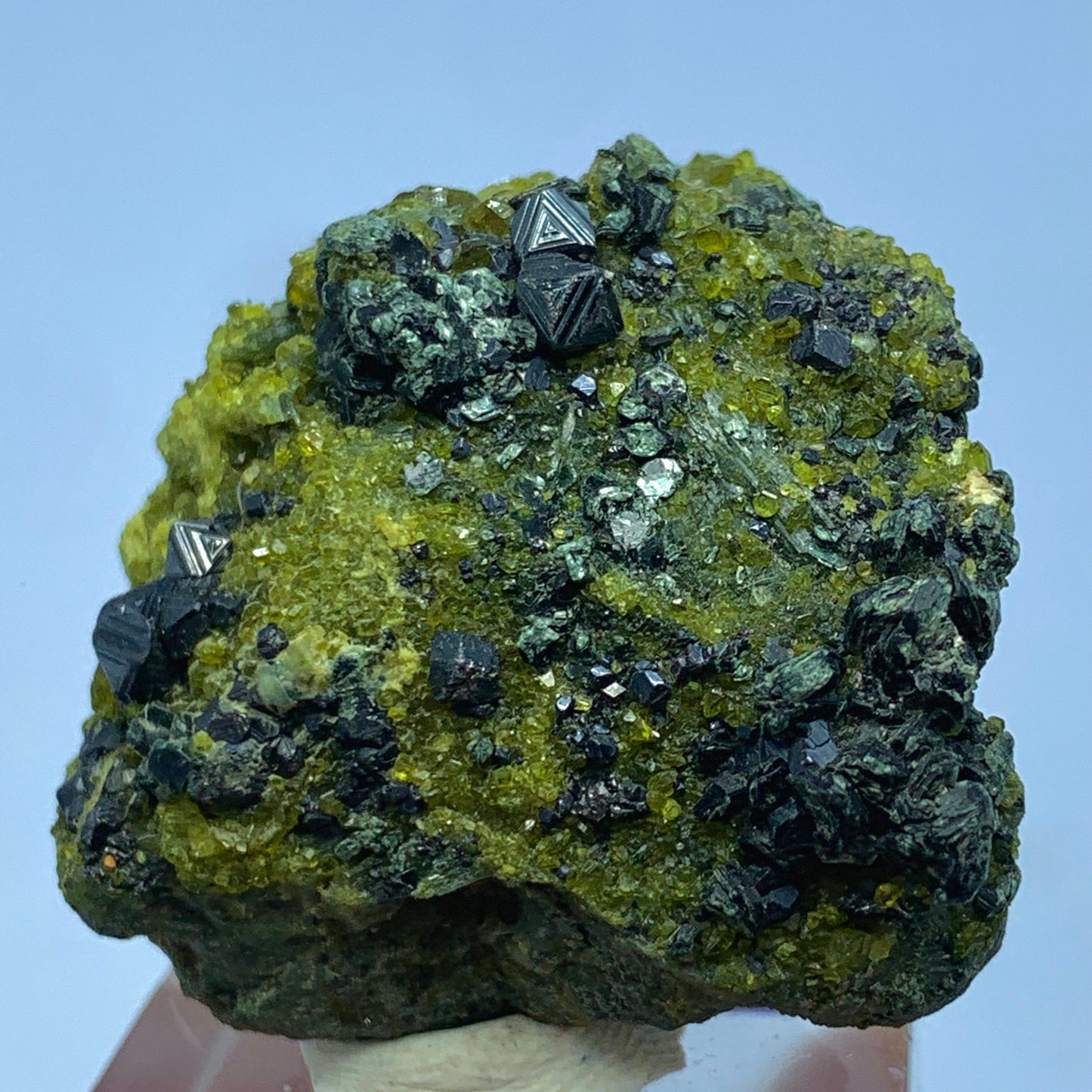 Magnetite, Vesuvianite, Diopside on Matrix from Pakistan