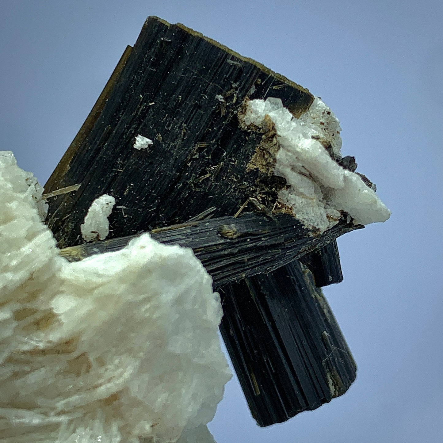 Green Cap Tourmaline, 479 Carat, Tourmaline in Albite, Pakistan Crystal, Albite Matrix, Tourmaline Specimen, Collector Crystal, Color Zone Tourmaline, Raw Tourmaline, Gemstone on Matrix