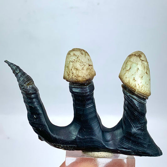 67 Grams Sculptural Green Agate Specimen Rare Stalactitic Chalcedony Formation Natural Mineral Specimen