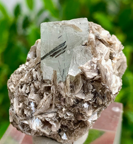 32 Grams natural blue Aquamarine crystal Black Tourmaline needle in aquamarine crystal on Muscovite Mica matrix from Pakistan