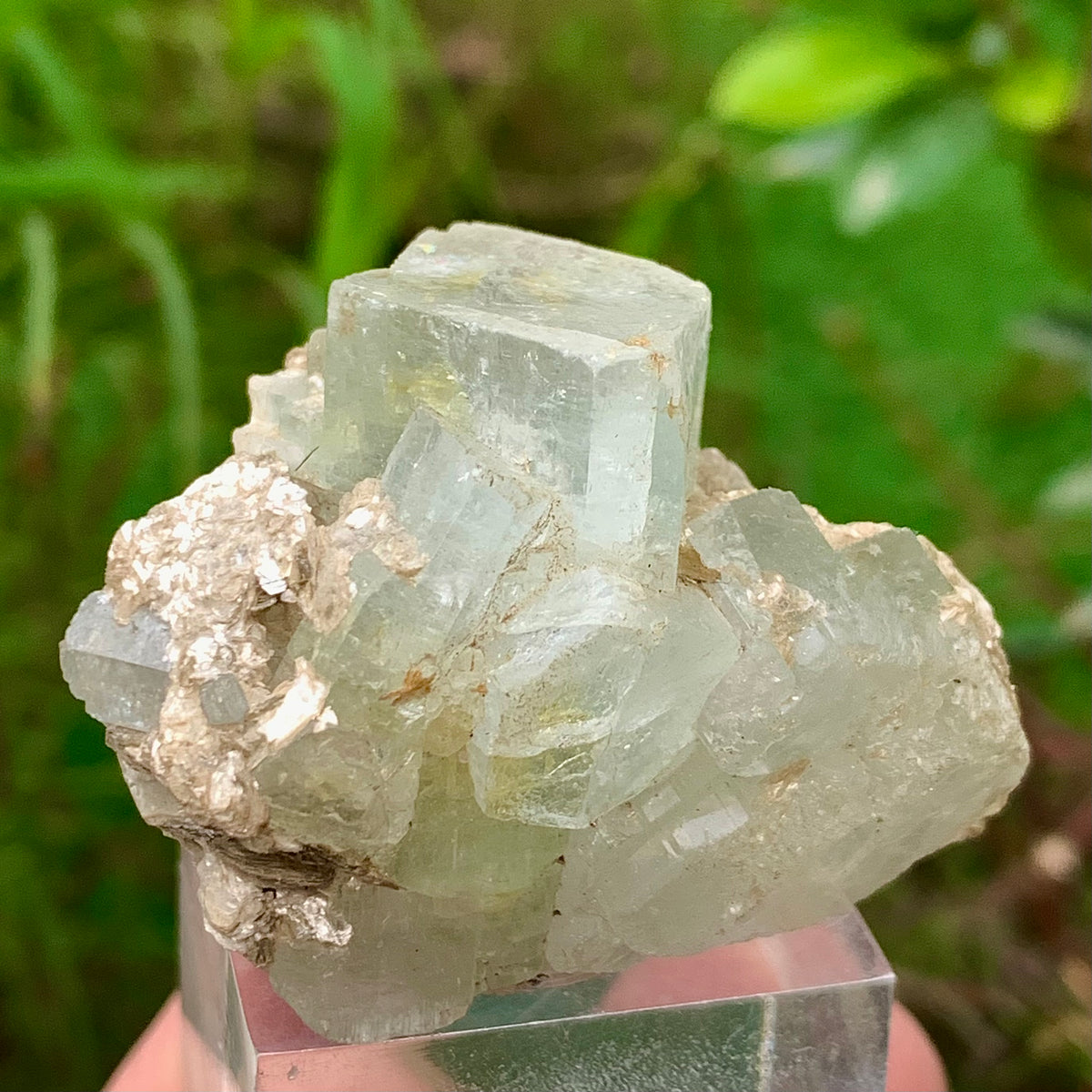 50 Grams Natural Blue Aquamarine Terminated Bunches of Crystal with Muscovite Mica from Pakistan