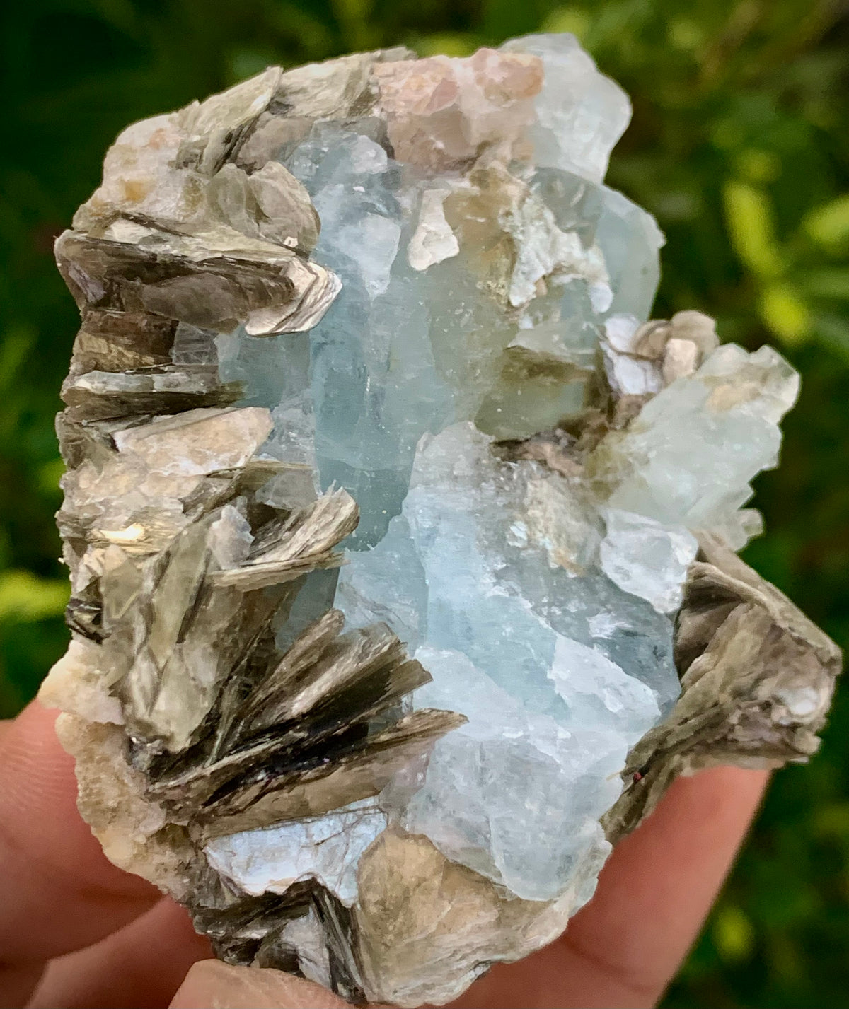 126 Grams Natural Blue Aquamarine Terminated Crystal Specimen on Muscovite Mica Matrix From Pakistan