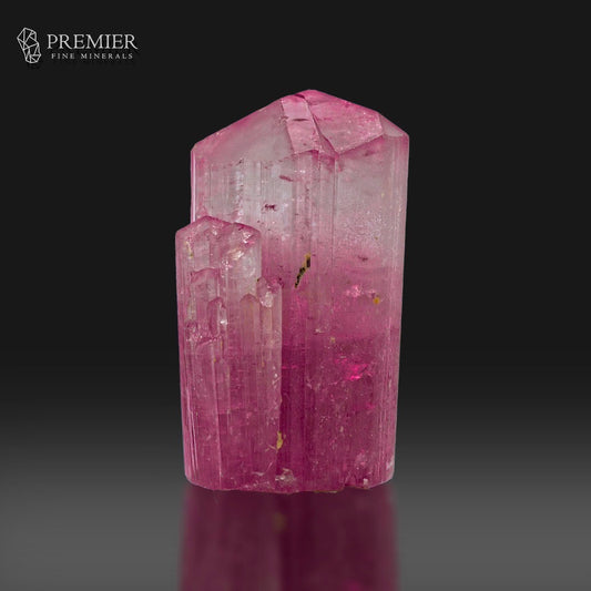 A pink tourmaline crystal specimen with a faceted top and rougher side, photographed on a dark reflective surface against a black background. The Premier Fine Minerals logo is visible in the upper left.