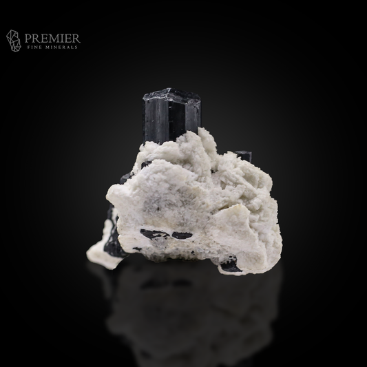 Schorl, Tourmaline, Black Tourmaline, Albite, Feldspar, Combination Specimen, 48.9 Grams, 244.5 Carats, Pakistan Mineral, Skardu, Raw Crystal, Collector Grade, Miniature Specimen, Contrast