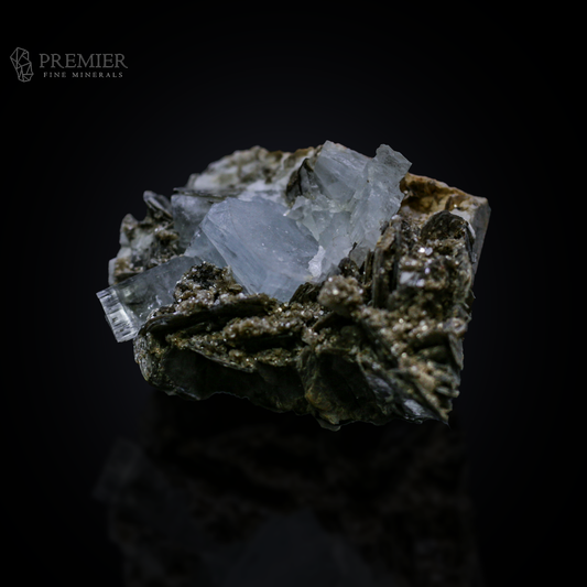 Beautiful 156 Gram (780 ct) Aquamarine crystal cluster on a shimmering Muscovite Mica matrix (66 x 47 x 37 mm) from Pakistan. Features exceptional blue-on-silver contrast.