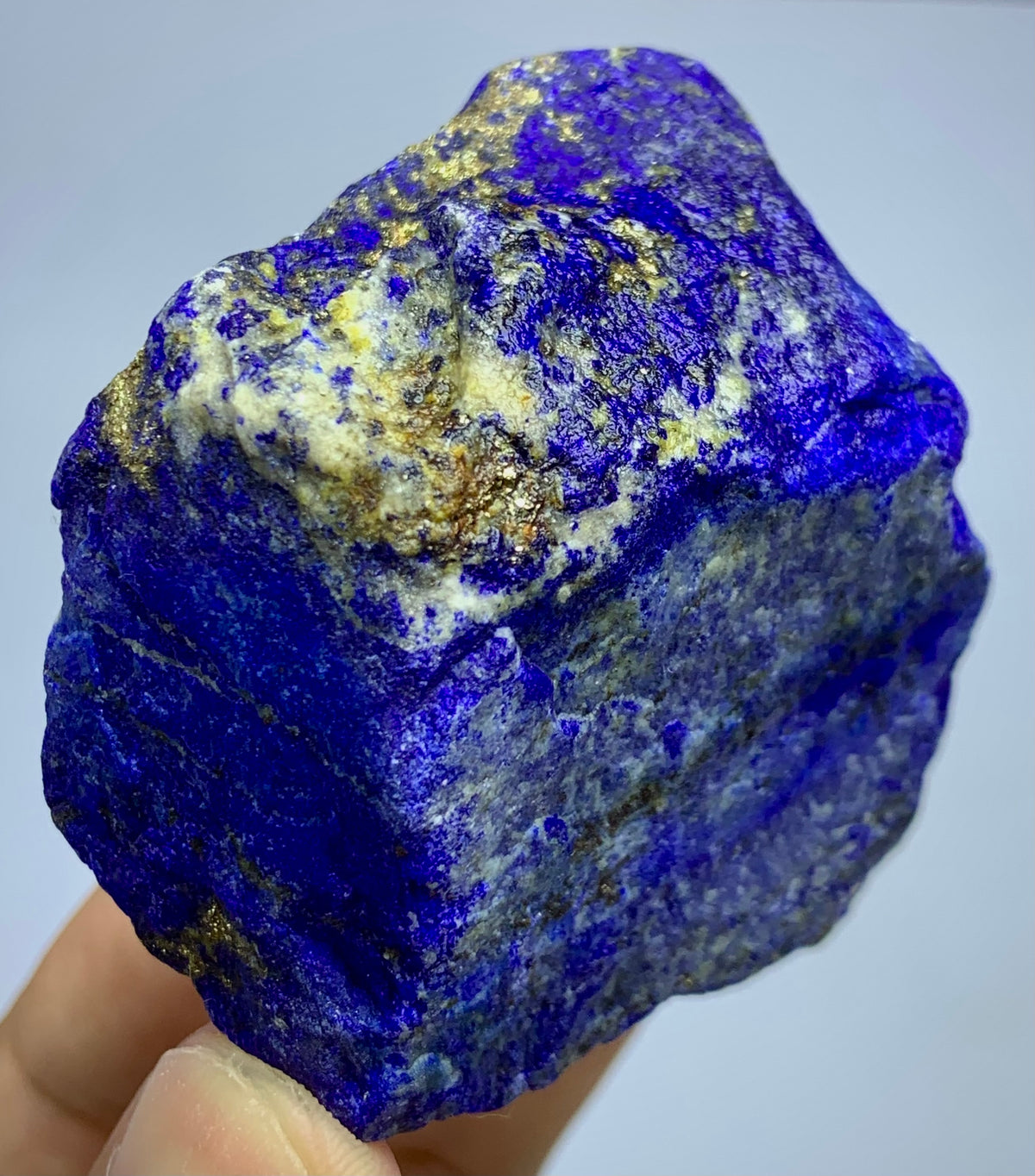A raw lapis lazuli crystal specimen with deep blue and white marbled patterns and gold pyrite veins, held in a person's hand against a light gray background.