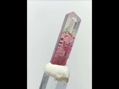 Natural Bicolor Tourmaline Terminated Crystal – Premium Afghanistan Mineral Specimen
