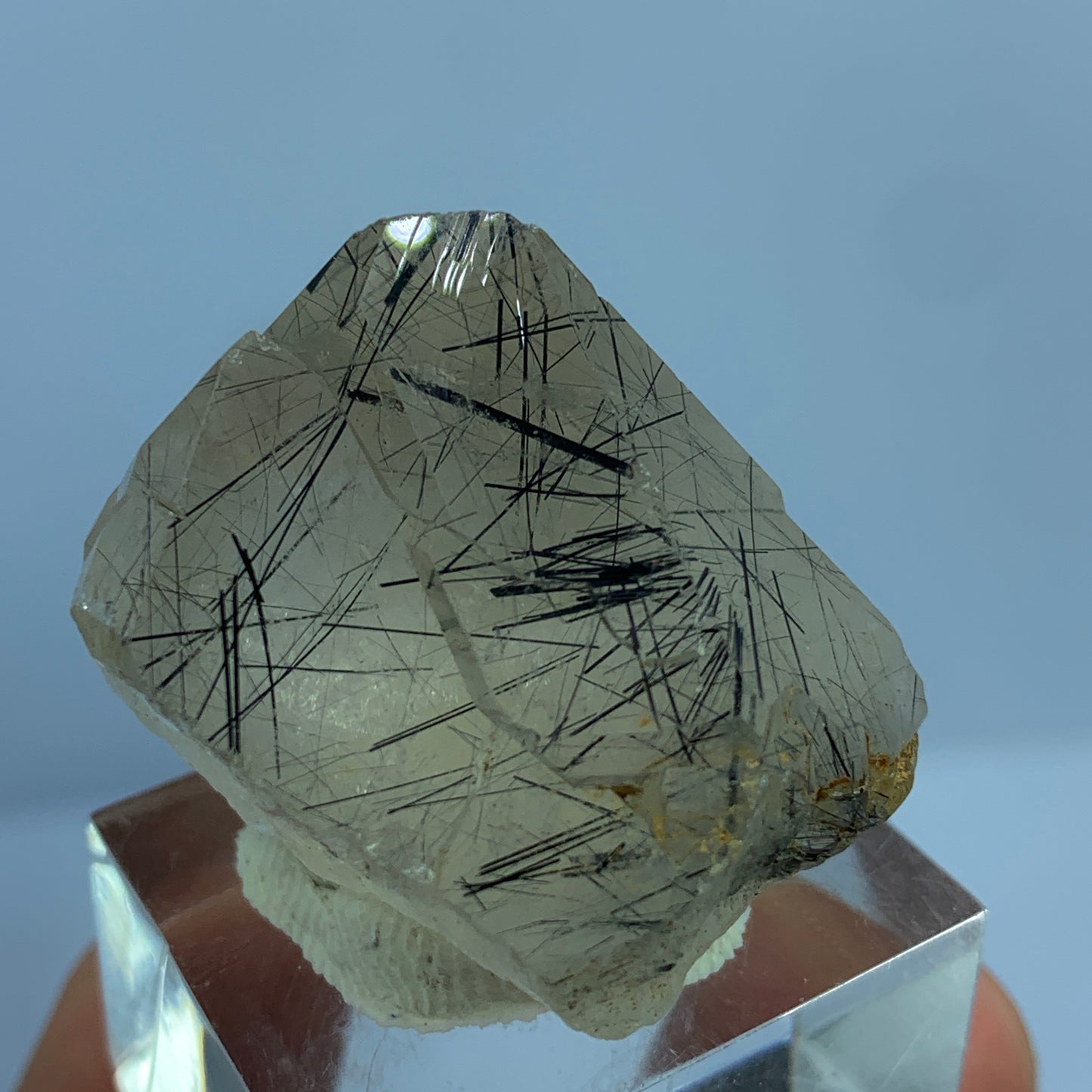 Black Rutile Quartz, Terminated Crystal, Rutilated Quartz, Natural Point Crystal, 130 Carat Crystal, Rare Mineral, Pakistan Quartz, Raw Crystal, Quartz Specimen, Black Rutile Inclusions, Collector Crystal, Healing Crystal