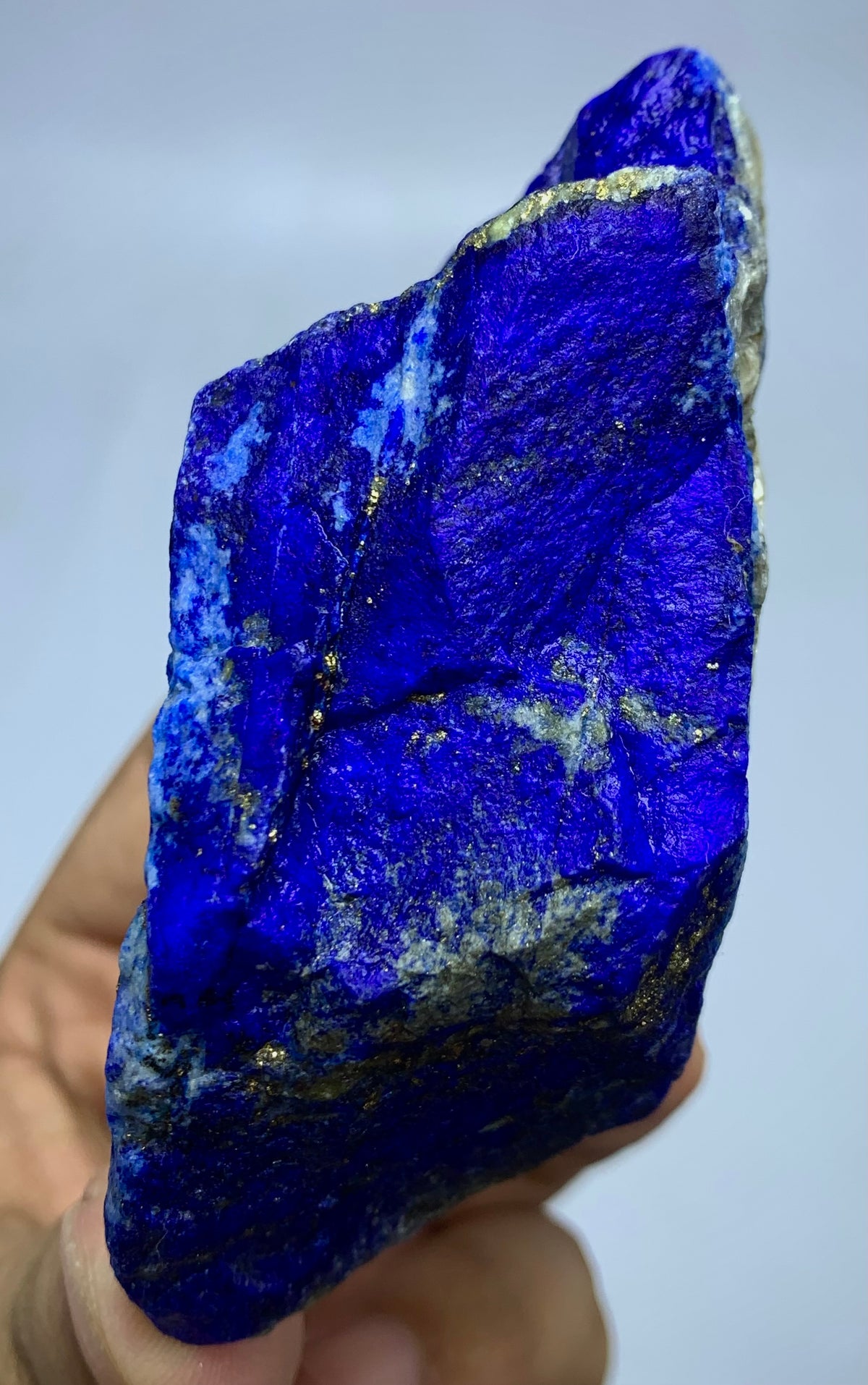A raw, rough-cut blue lapis lazuli crystal specimen held in a hand against a light gray background.