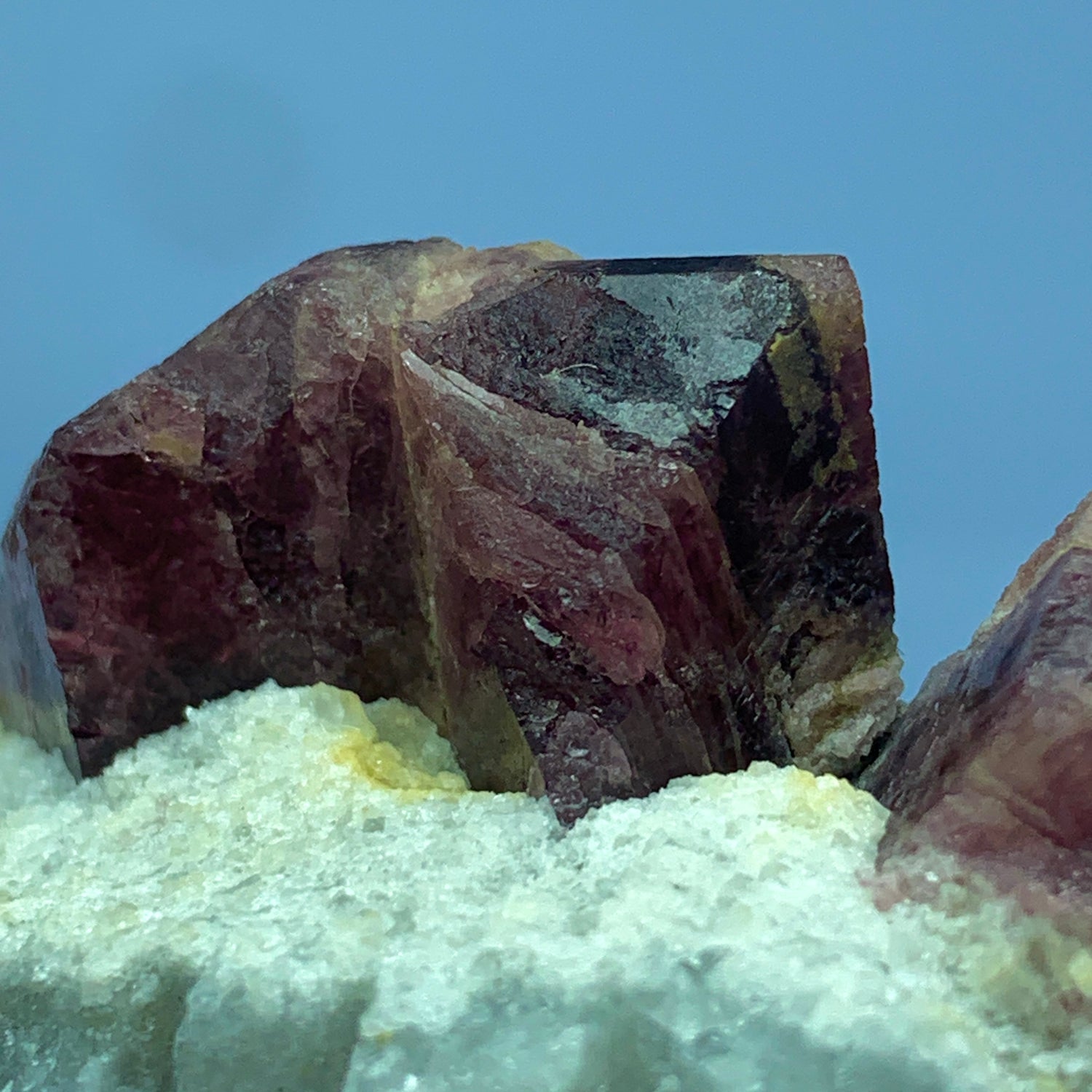 SPINEL