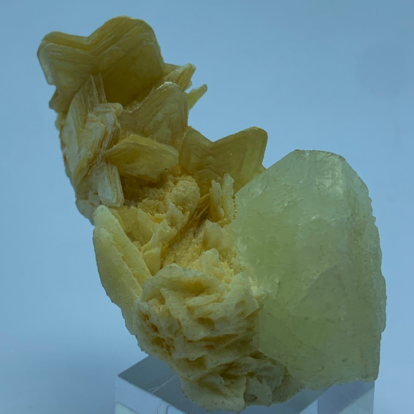 Feldspar Crystal on Star Shaped  Mica - Pakistan