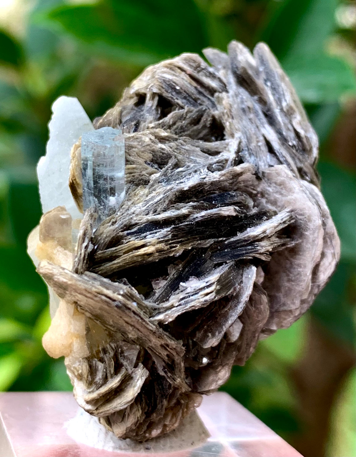 31 Grams Natural Blue Aquamarine Terminated Crystal on Muscovite Mica Matrix from Skardu Pakistan