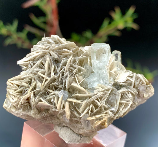 44 Grams Natural Blue Aquamarine Terminated Crystal with Muscovite Mica Matrix from Skardu Pakistan