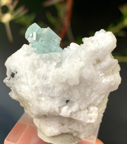 Aquamarine Crystal on Feldspar Matrix – Skardu Pakistan