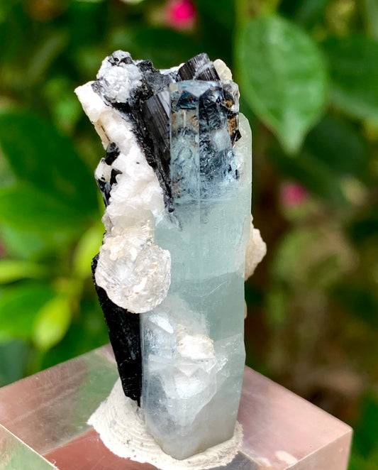 Blue Aquamarine with Black Tourmaline on Feldspar – Skardu Pakistan
