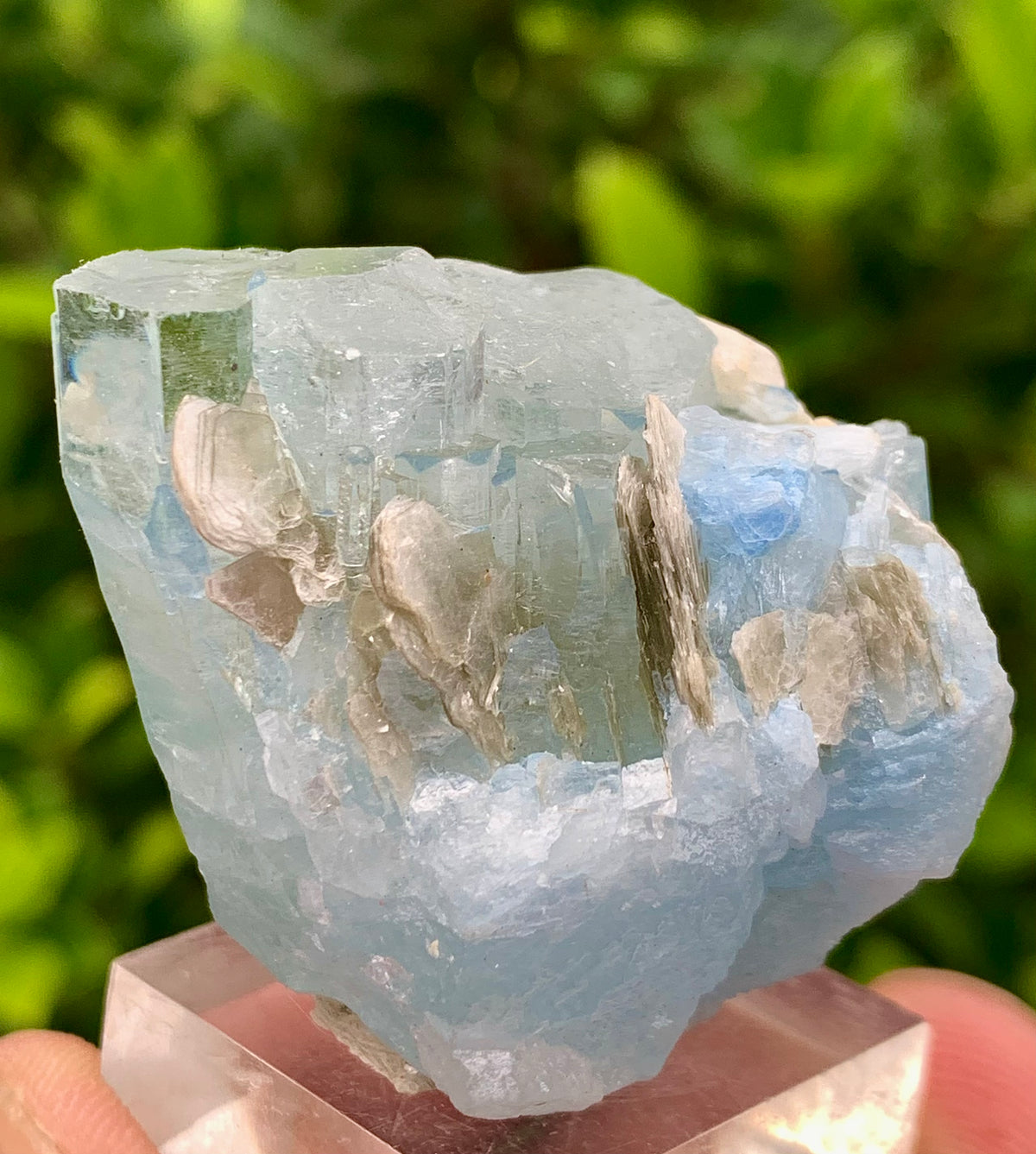 40 Grams Natural Blue Aquamarine Terminated Crystal Specimen on Muscovite Mica Matrix From Pakistan