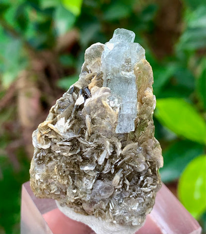 Natural Blue Aquamarine Terminated Crystal on Crystal with Muscovite Mica Matrix from Pakistan