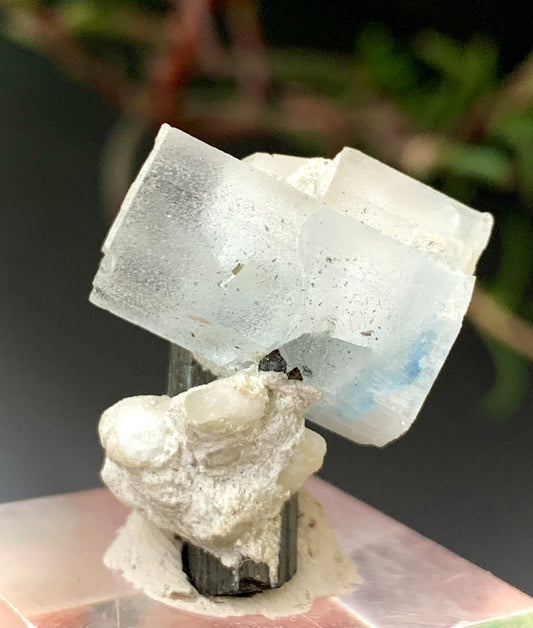 Etched Aquamarine with Black Tourmaline on Feldspar – Skardu