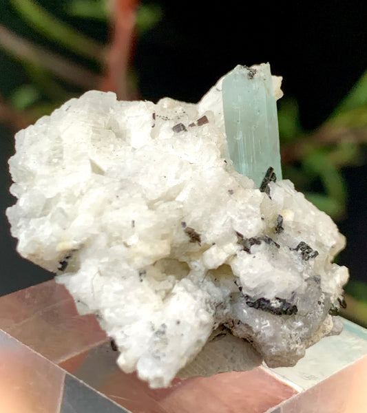 Etched Aquamarine with Schorl on Feldspar – Pakistan