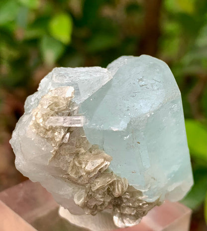 47 Grams Natural Aquamarine Terminated Blue Crystal with Muscovite Mica Matrix from Gilgit Pakistan