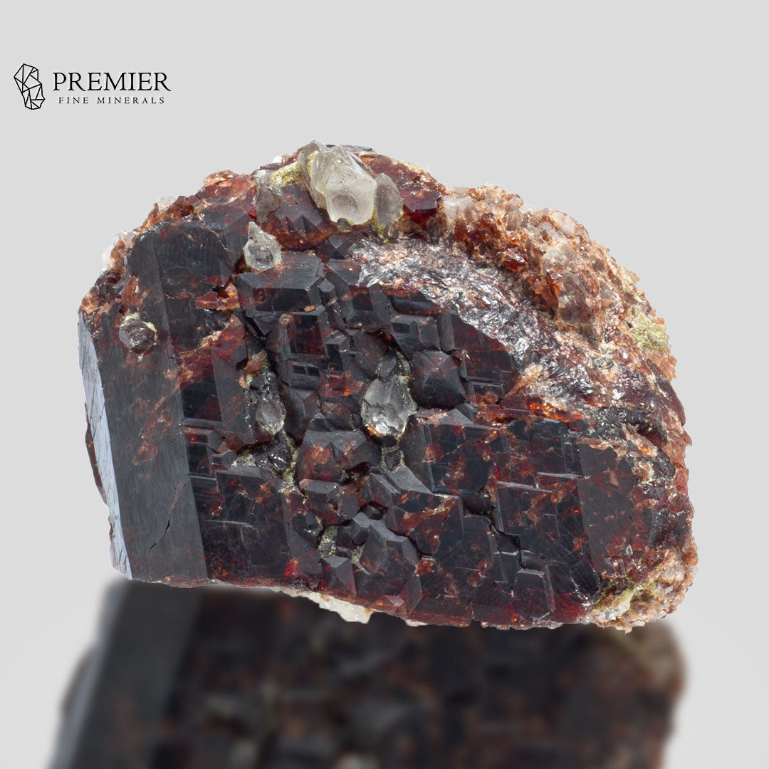 Rhodolite Garnet, Garnet Cluster, 1077 Carat, Quartz Matrix, January Birthstone, Collector Grade, Raw Garnet, Red Crystal, Raspberry Garnet, Birthstone Gift