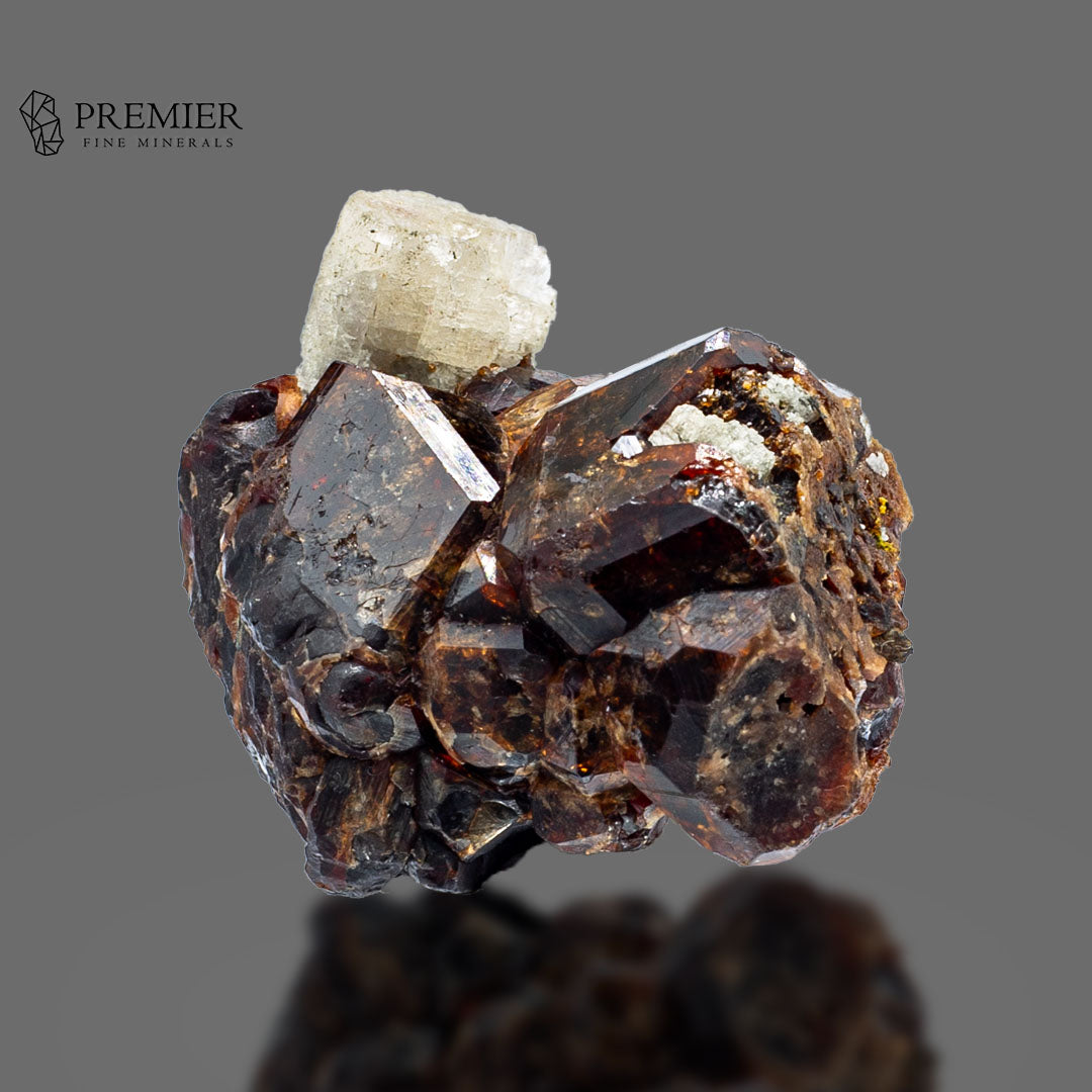 Rare Etched Apatite on Spessartine Garnet Cluster - Pakistan