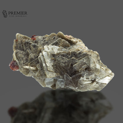 Spessartine Garnet on Muscovite - Pakistan