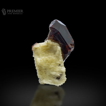 Garnet Terminated Crystal on Matrix from Pakistan