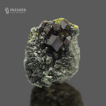 Andradite Garnet & Biotite Mica - Pakistan