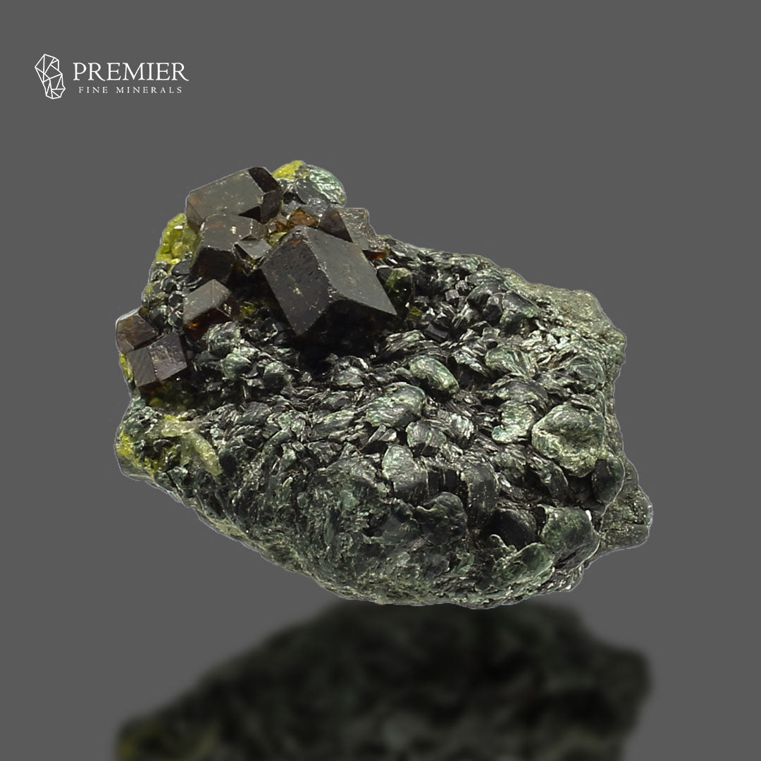 Andradite Garnet & Biotite Mica - Pakistan