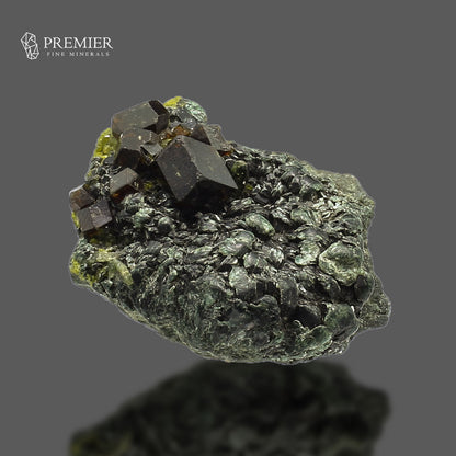 Andradite Garnet & Biotite Mica - Pakistan