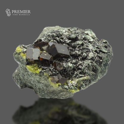 Andradite Garnet & Biotite Mica - Pakistan