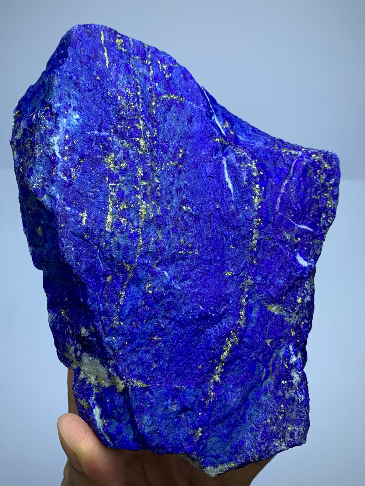 Rough Blue Lapis Lazuli Crystal specimen with golden Pyrite veins,