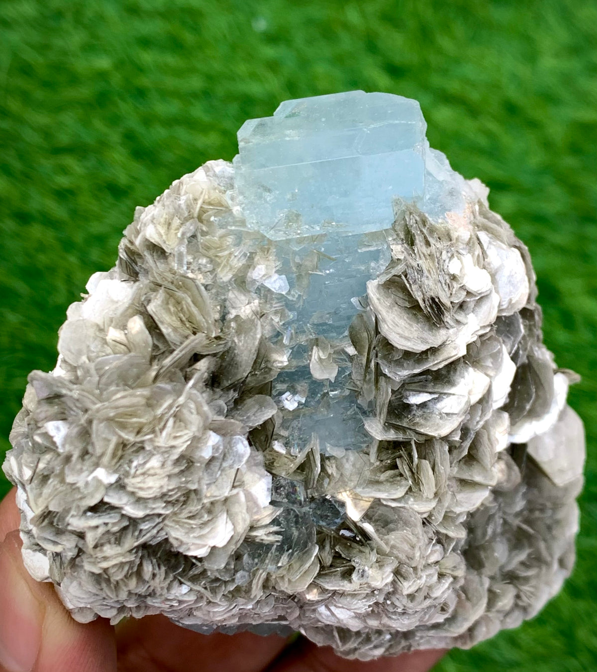 342 Grams Natural Blue Aquamarine Terminated Crystal Specimen on Muscovite Mica Matrix From Pakistan