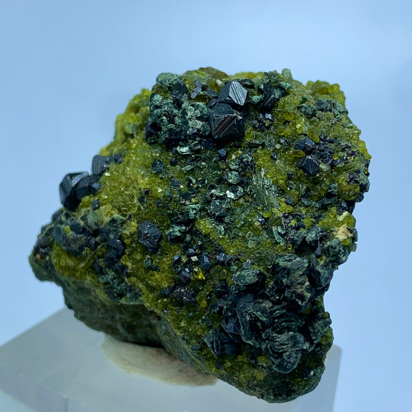 Magnetite, Vesuvianite, Diopside  on Matrix from Pakistan