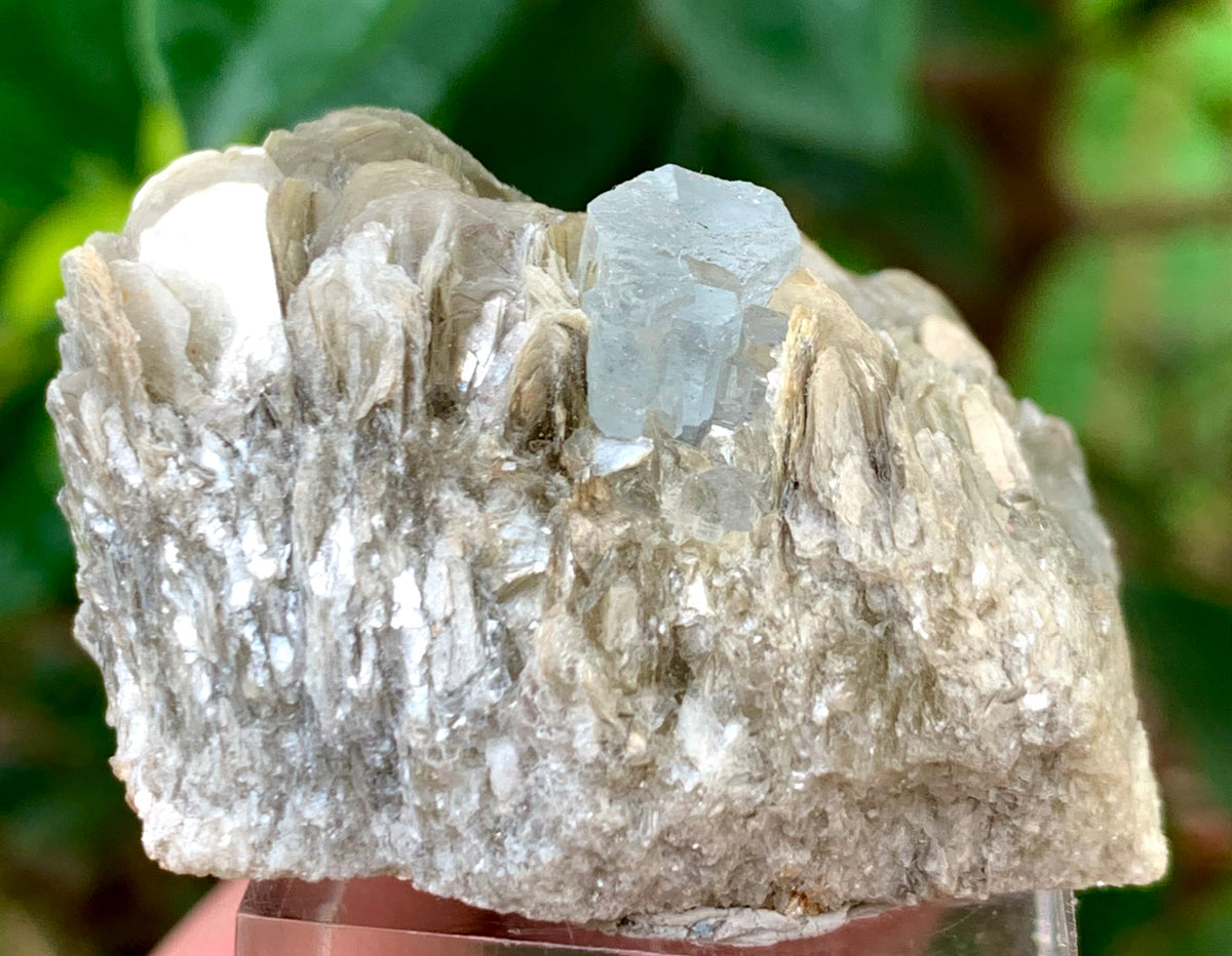 23 Grams Natural Blue Aquamarine Terminated Crystal on Muscovite Mica Matrix From Pakistan